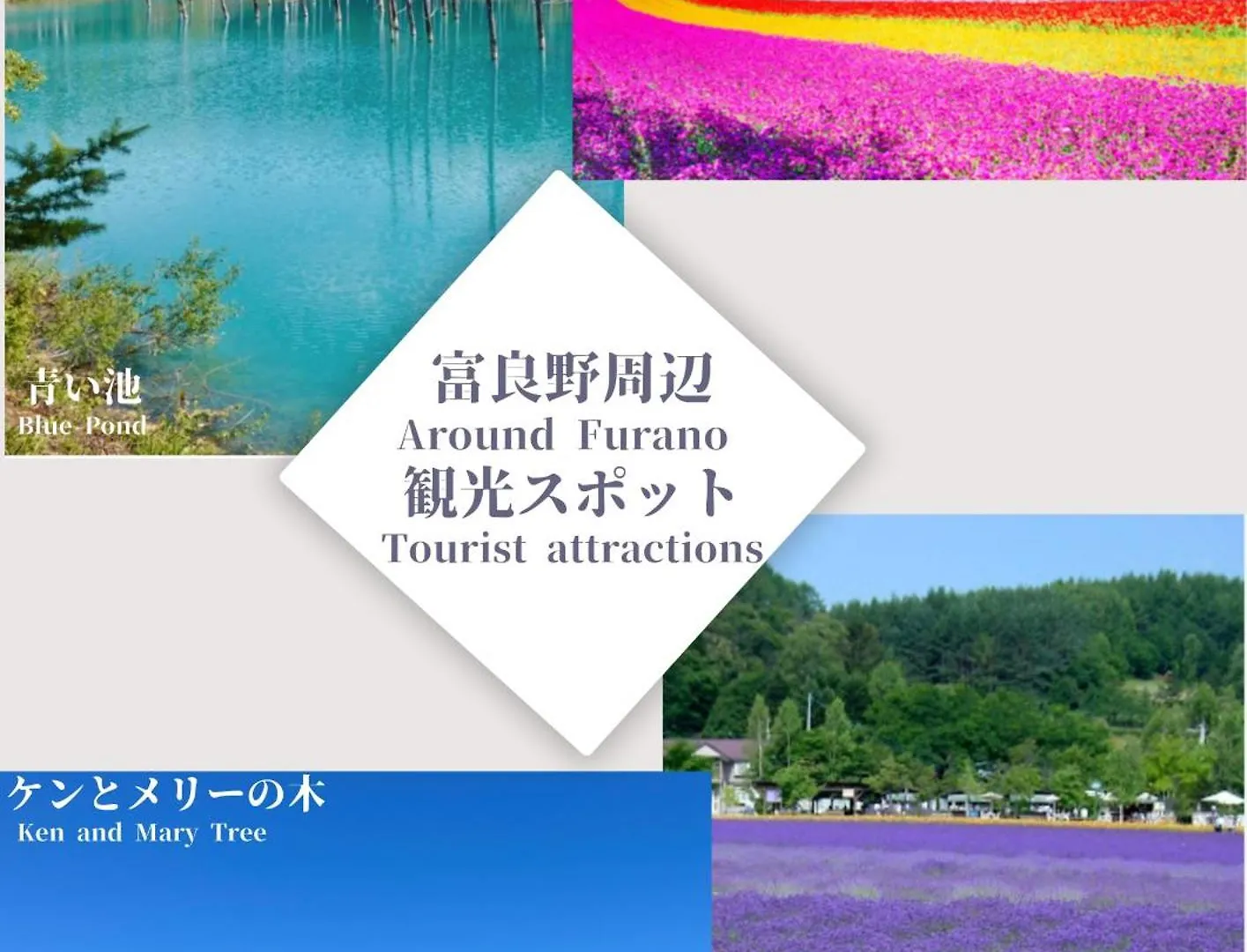 شقة Furano Ski Frante اليابان